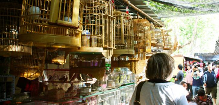 Kunming Flowers and Birds Market